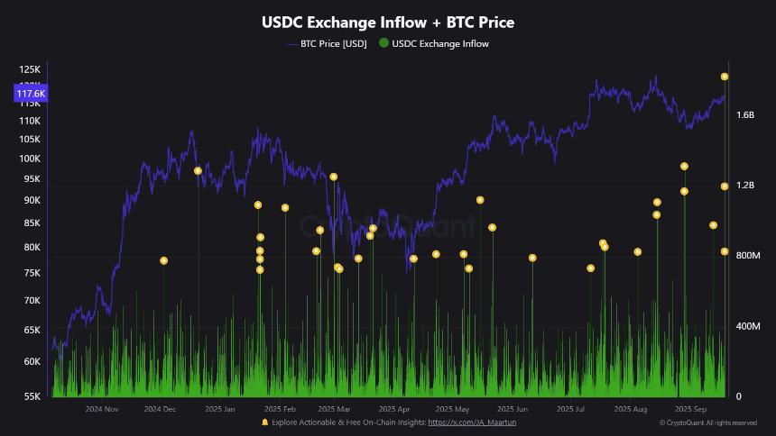 比特币现金（BCH）因社交媒体炒作过度回调 6.7%，市场情绪或将逆转