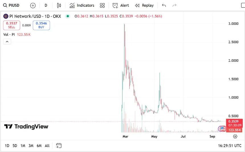 Pi Network 社区与生态系统展望