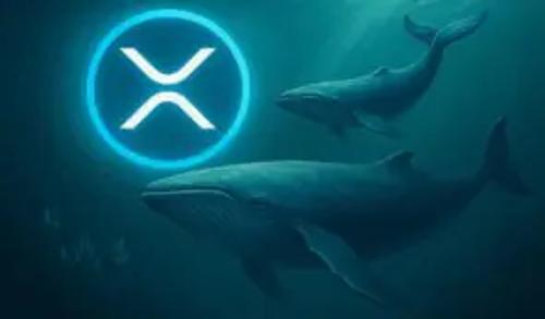 XRP 2.0 Remittix融资超2620万美元，推出15% USDT奖励计划，被评为当前最具投资价值加密货币