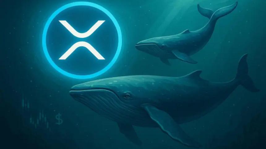 XRP 新闻:XRP 2.0 Remittix 融资超过 2620 万美元,推出 15% USDT 奖励,并被评为现在最值得购买的加密货币