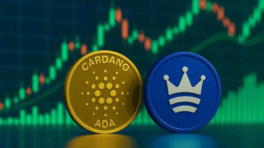 分析师将 Zexpire 与 Cardano 进行比较后,Zexpire 成为目前最佳投资加密货币