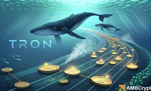 TRON流动性重组：数十亿稳定币流动引发市场新格局