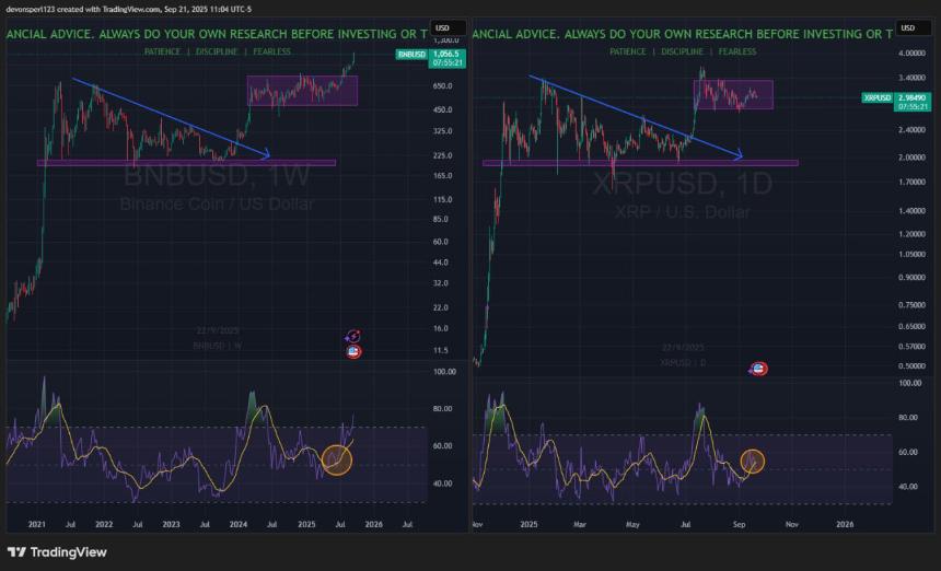 BNB 1W 图表和 XRP 1D 图表 | Charting Guy