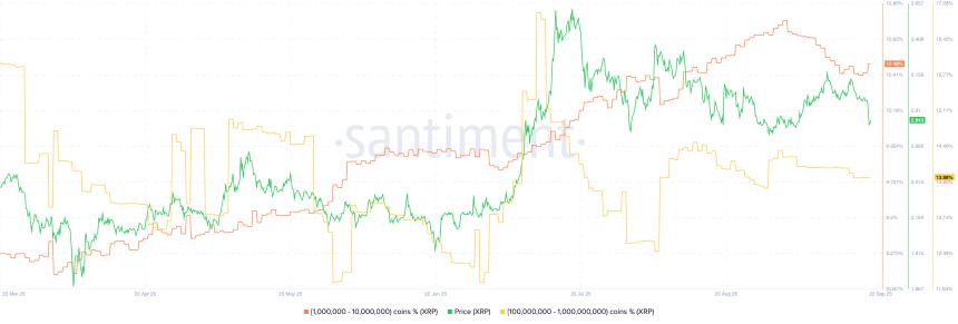 XRP 供应分布 | 来源:Santiment