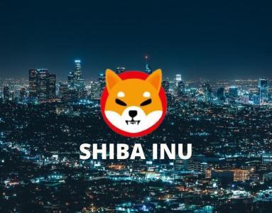 柴犬币能否成为支付工具？哪些商家已接受这种加密货币