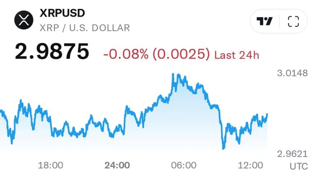 Cardano 与 XRP 合作前景可期：Remittix 融资超 2630 万美元引发市场关注