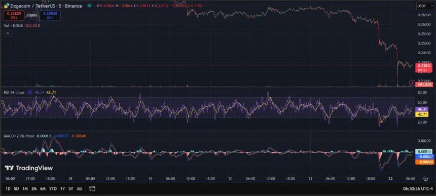 狗狗币跌破0.24美元关口 Grayscale申请DOGE ETF引发市场关注