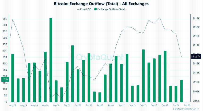  随着交易所流入量持续增加，比特币面临看跌压力——BTC 会失去 112,000 美元的支撑位吗？ 