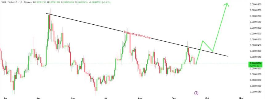 柴犬价格预测与链上数据分析