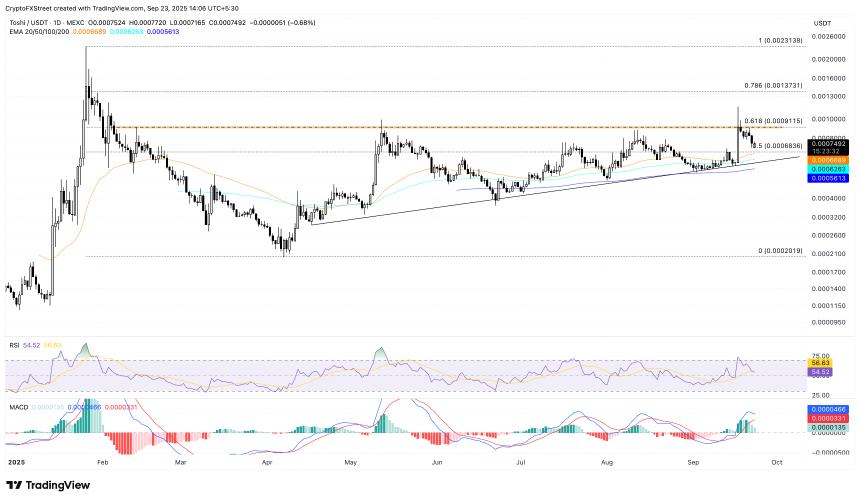 Meme Coins 价格预测:随着加密货币市场的崩溃,BONK、WIF、TOSHI 处于十字路口
