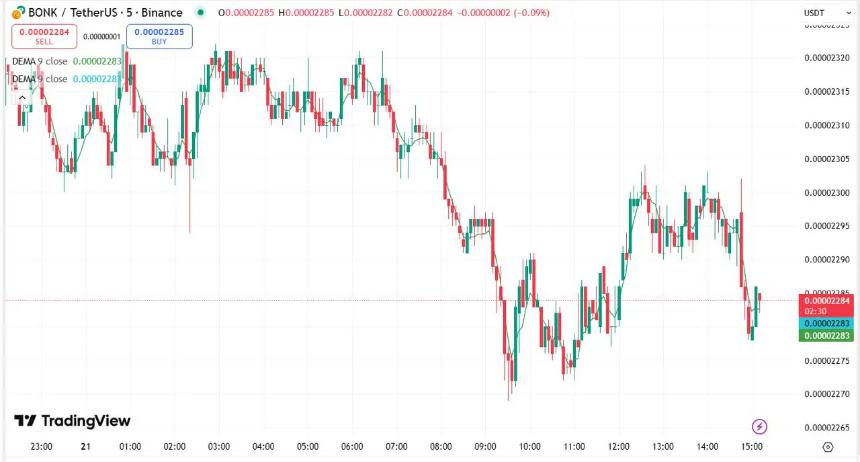 Bonk Coin ETF热度提升市场情绪