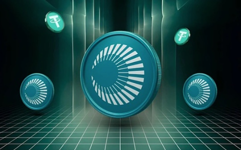 揭秘：Plasma XPL团队被指为Blast原班人马重组