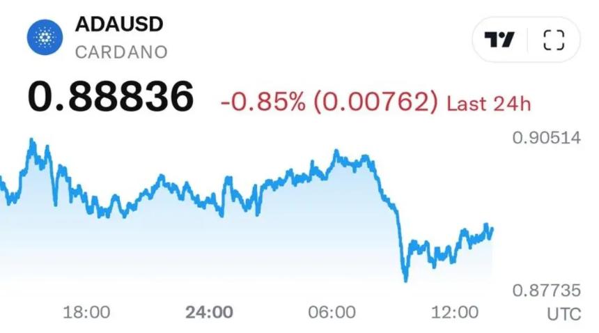 Cardano 与 XRP 合作前景可期：Remittix 融资超 2630 万美元引发市场关注