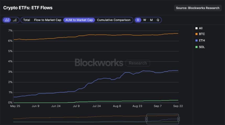 我们应该终止 HYPE 的最大供应量吗？ 