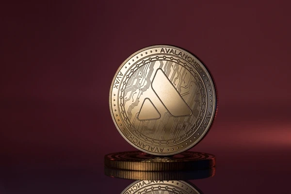 AVAX 吸引机构投资者,BCH 捍卫传统,$BZIL 将 8000 美元变成 13.9 万美元,成为 2025 年最佳加密货币预售