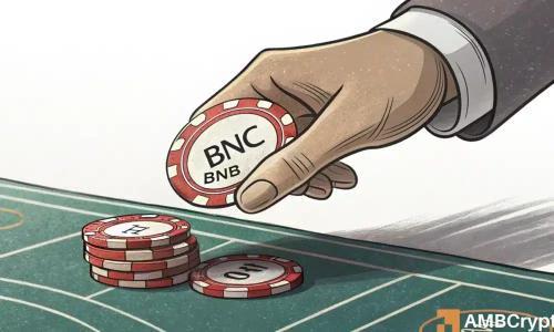 BNB：机构投资者为何在第四季度重仓数十亿美元押注币安币