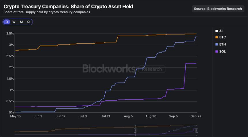  我们应该终止 HYPE 的最大供应量吗？ 