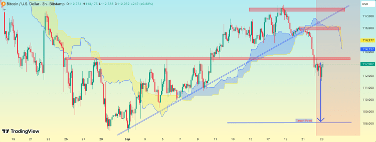  分析师预测比特币价格将持续下跌，熊市趋势尚未结束 