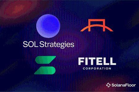 Fitell Corporation融资1亿美元后购入1000万美元SOL，加速数字资产转型