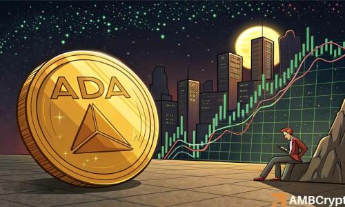 卡尔达诺能否在鲸鱼巨量转移后守住关键支撑位？