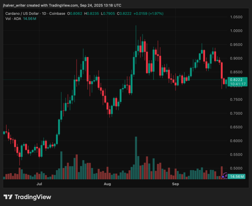  卡尔达诺 (ADA) 超卖，RSI 为 36.6：短期反弹即将到来？ 