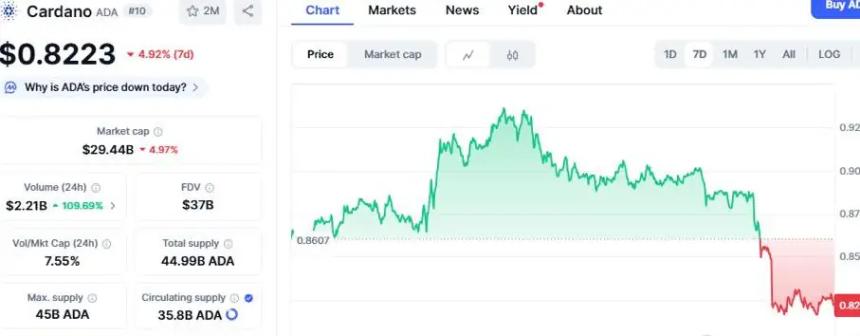 ADA 或将跌破 0.8 美元关键支撑位 聪明资金涌入 HYPE 和 Digitap 寻找百倍潜力机会