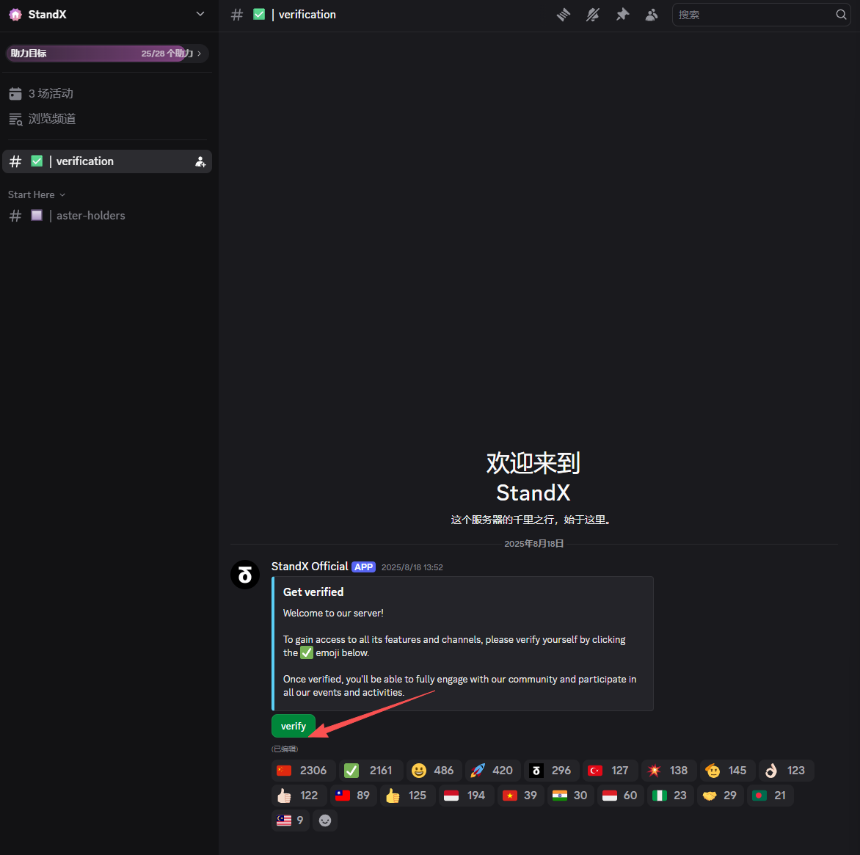 Discord验证界面