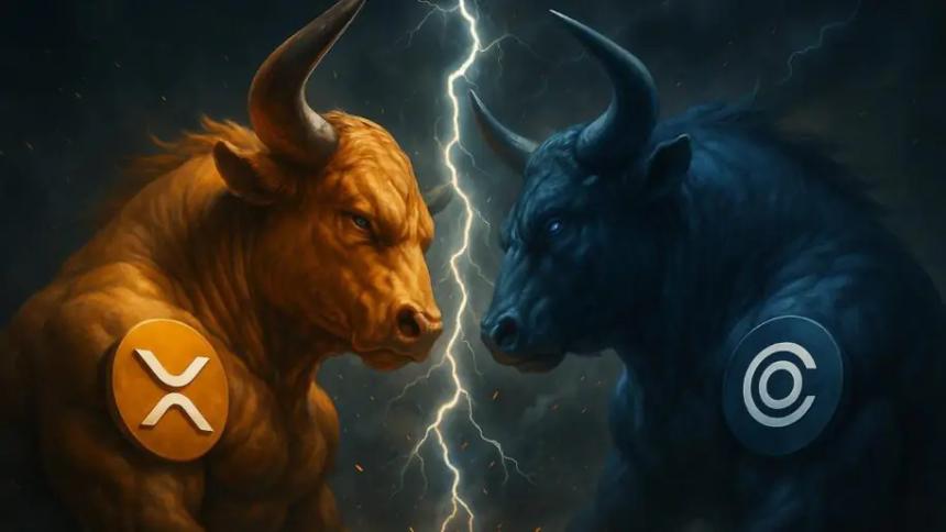 XRP价格能否延续强势？2025年最佳加密货币投资机会或已浮现