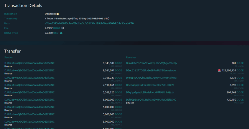 狗狗币下跌18%，但巨鲸从币安提现了1.22亿DOGE