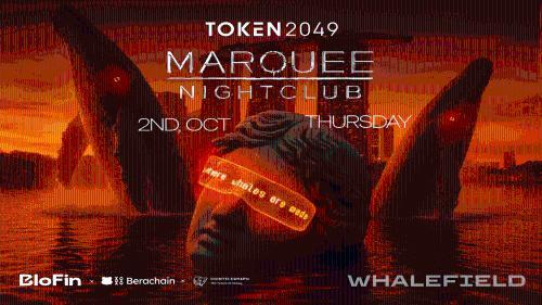 BloFin联合Berachain与Cointelegraph打造TOKEN2049闭幕派对“Whalefield”盛大举行