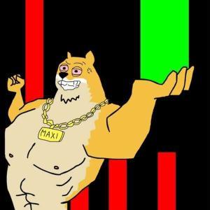 MAXI Coin逆势崛起：在美元强势下成功筹集250万美元