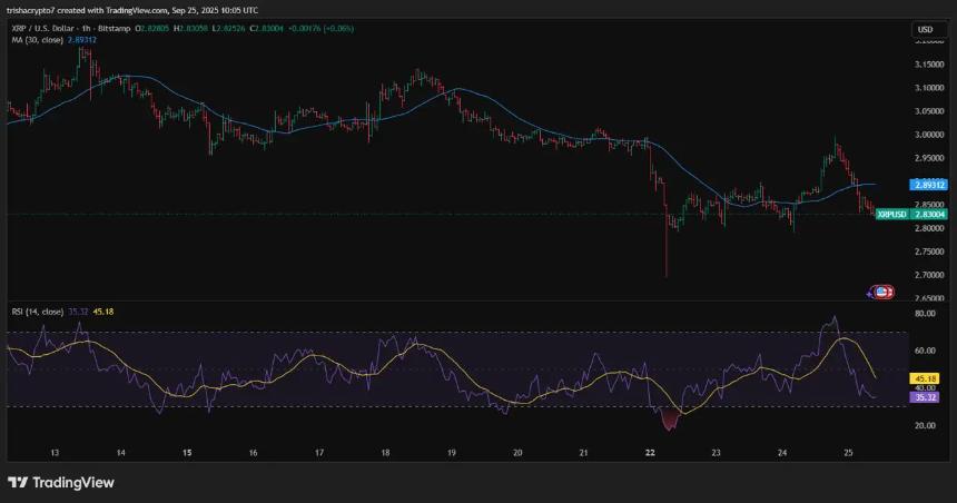 Remittix价格预测：RTX如何从0.10美元飙升至5美元，挑战XRP市场地位