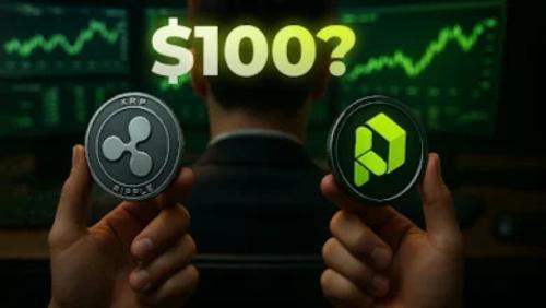 XRP价格有望突破100美元，但为何Ripple投资者纷纷转向Paydax (PDP)？