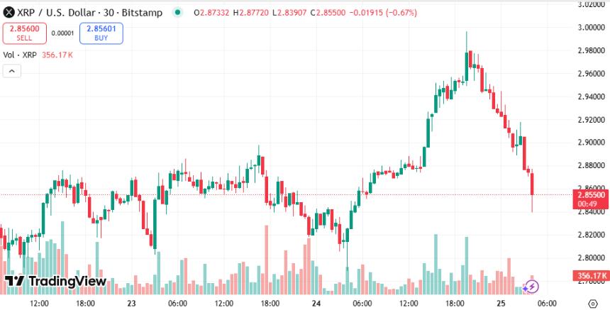  XRP 价格比您想象的更接近 100 美元，但为什么 Ripple 投资者会购买 Paydax (PDP)？ 
