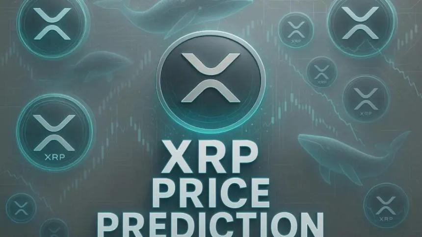 全球分析师热议：Remittix 或成 XRP 2.0，PayFi 领域新星崛起