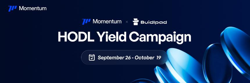 Momentum 项目简介