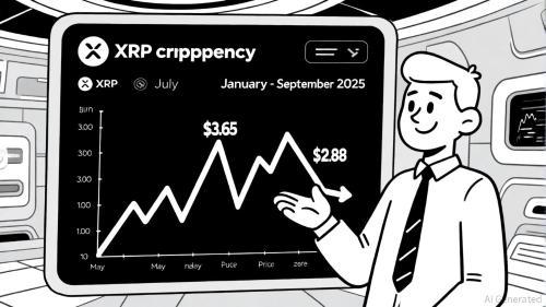 XRP销毁率波动：市场价值与投资者信心的双重考验