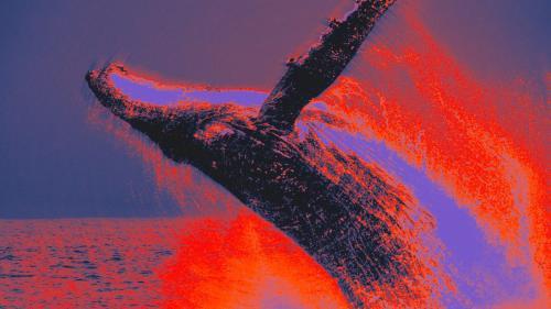 沉寂12年的比特币钱包突然转移4400万美元资金