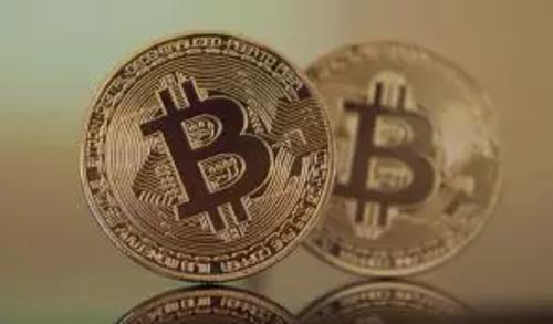 调查显示：比特币不再是加密货币新手首选，市场多元化趋势显现