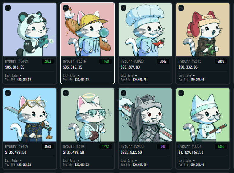 价值40万元的Hypurr NFT:纪念品还是未来赋能的关键?