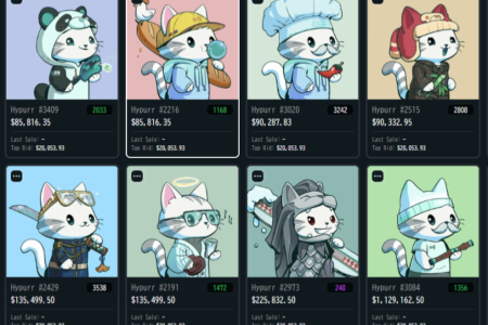 价值40万元的Hypurr NFT：纪念品还是未来赋能的关键？