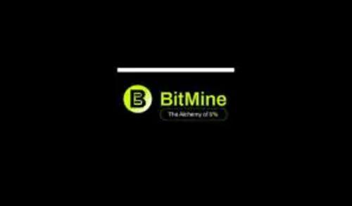 BitMine Immersion (BMNR) 宣布持有超过 265 万枚 ETH，加密资产和现金总值达 116 亿美元