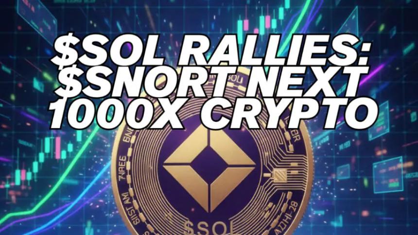 SEC 即将公布 Solana ETF 决定：Snorter 代币 ($SNORT) 或成下一个千倍潜力加密资产