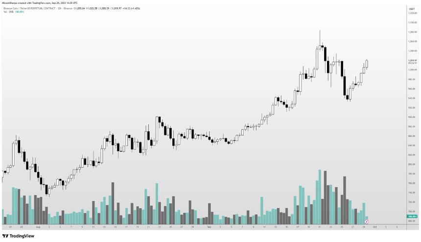 一张显示 BNB 价格走势的蜡烛图。图表呈现上升趋势，包含黑白蜡烛以及下方的绿色和灰色交易量条形图。纵轴标注价格水平，横轴标注时间间隔。