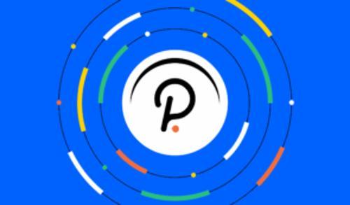 Polkadot 社区投票通过原生算法稳定币提案