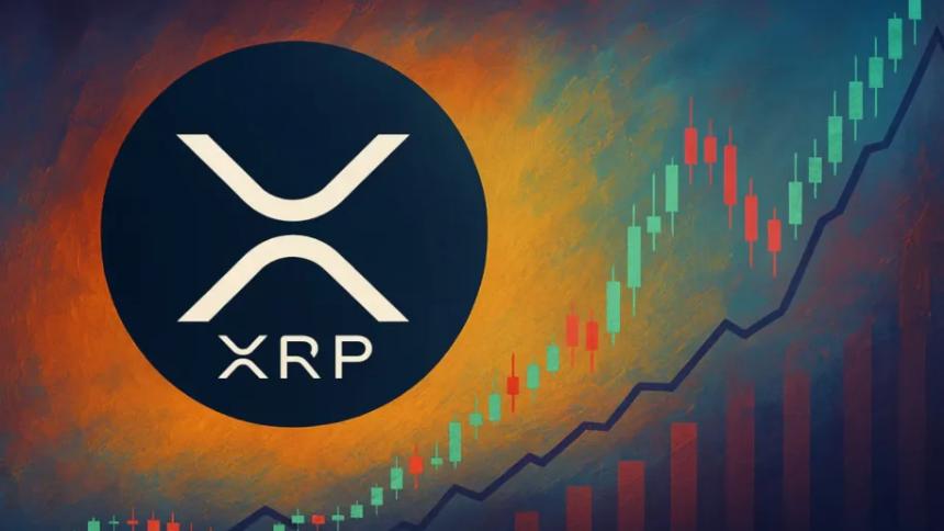 法国投资者大举购入XRP，市场看涨情绪高涨