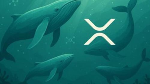 瑞波币价格走势与新兴山寨币 Remittix 的最新动态