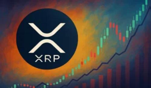 法国投资者大举购入XRP，市场看涨情绪高涨