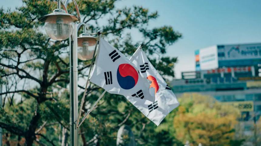 新数据揭示：韩国加密货币市场由少数巨鲸主导