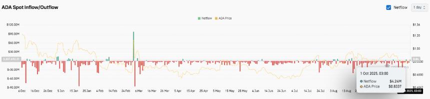  卡尔达诺价格预测：ADA 保持关键支撑位，交易员关注 1 美元突破 